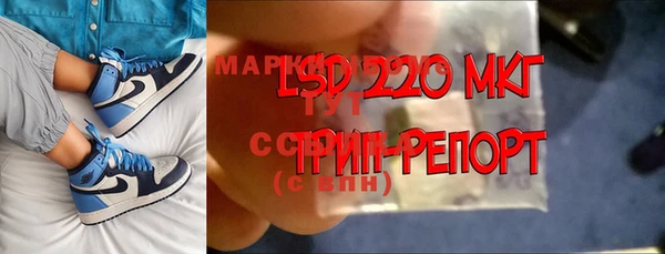 дживик Аркадак