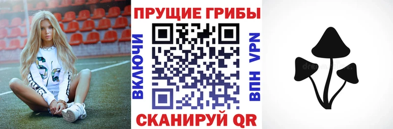 Галлюциногенные грибы мицелий Усинск