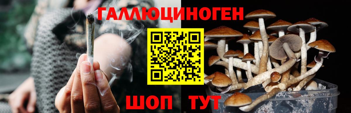 Галлюциногенные грибы GOLDEN TEACHER Усинск